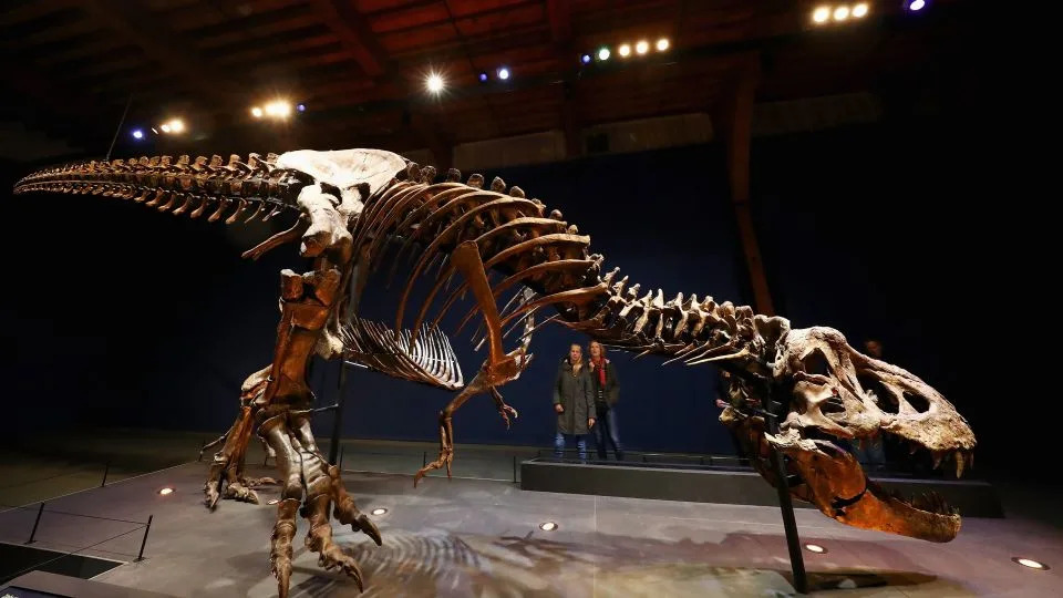 Zašto je T. rex Imao Male Prednje Šape? Nova Studija Pokazuje Evolutivni Kompromis