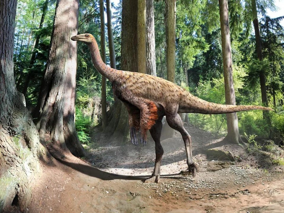 80-Million-Year-Old 'Ostrich-Like' Dinosaur Tail Bone Discovered Off Canada's Pacific Coast