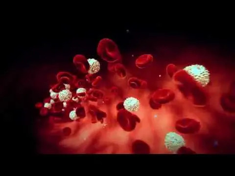 Da Li Vam U Krvi Circuliše Evolucioni Relikt Star 700 Miliona Godina?