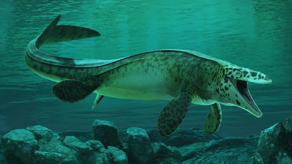 Tylosaurus rex — Novi „T. rex“ okeana: Masivni mosasaur krunisan kao ‘teror’ iz kasne Krede