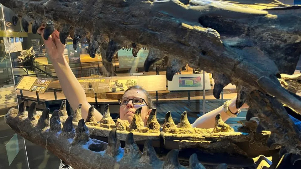 Tylosaurus rex — Novi „T. rex“ okeana: Masivni mosasaur krunisan kao ‘teror’ iz kasne Krede