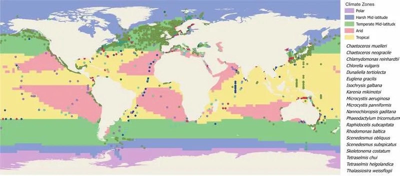 Mikroplastika Potkopava Sposobnost Okeana da Se Bori Protiv Klimatskih Promena