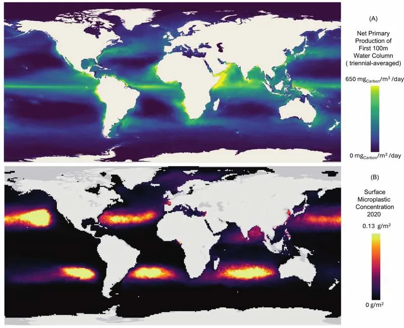 Mikroplastika Potkopava Sposobnost Okeana da Se Bori Protiv Klimatskih Promena