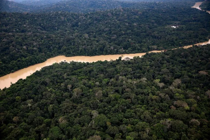Greenpeace: Ilegalni rudari iz Amazona izvukli zlato vredno 3,88 mlrd USD koristeći «fantomske» dozvole