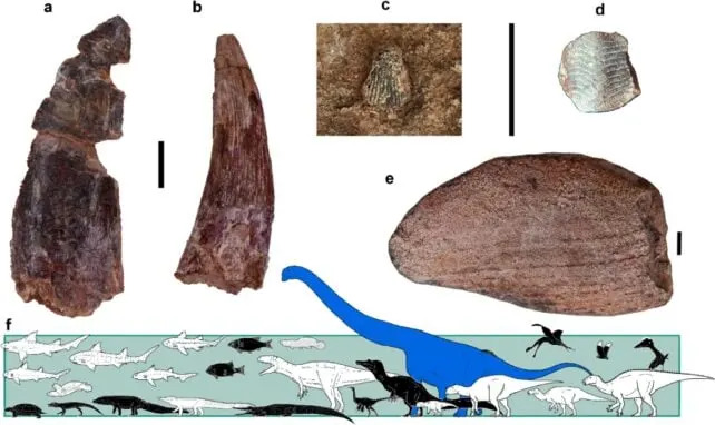Nagatitan — Najveći Dinosaur Otkriven u Jugoistočnoj Aziji: Sauropod Dugačak Do 27 m