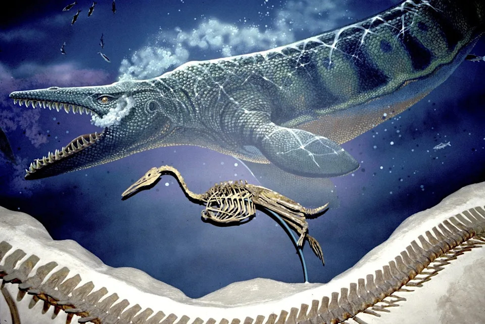 Tylosaurus rex — Novi 