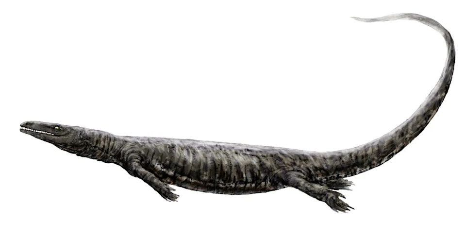 Tylosaurus rex — Novi 
