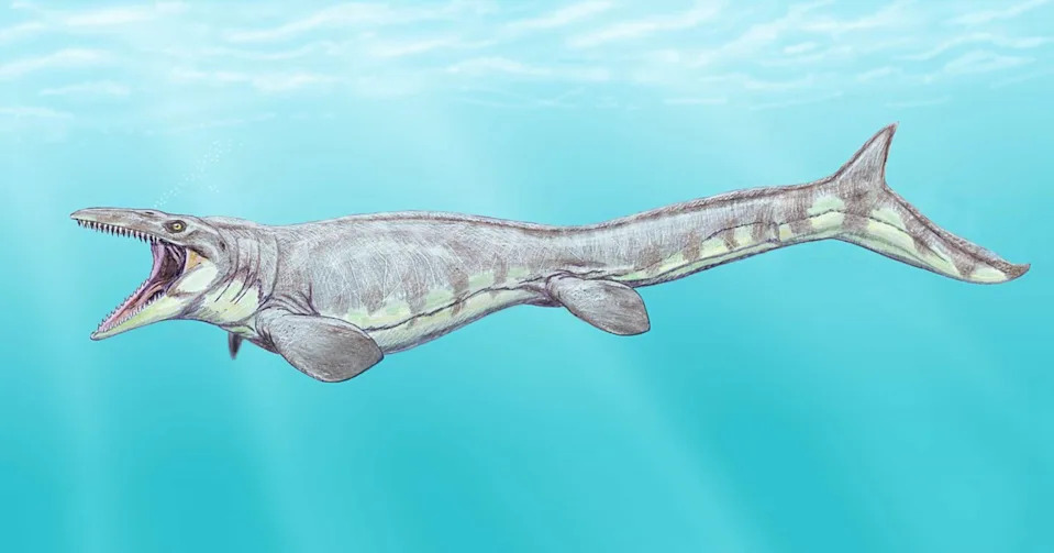 Tylosaurus rex — Novi 