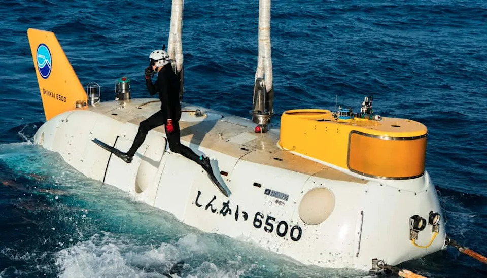 Ocean Census Otkrio 1.121 Novu Morsku Vrstu Za Samo Godinu Dana — Veliki Pomak Za Zaštitu Okeana