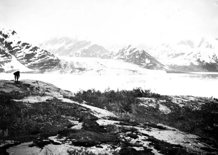 Kako Se Menjaju Pejzaži Nacionalnog Parka Glacier (Montana): Vizuelna Hronika Nestanka Leda