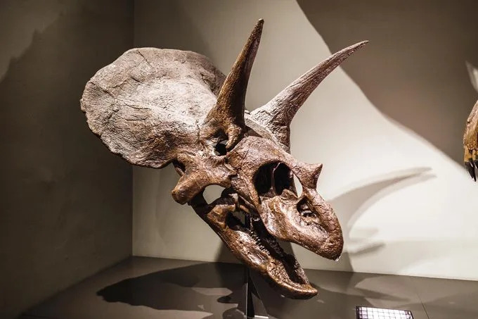 13 scenarija: Šta bi se dogodilo da dinosauri još uvek žive
