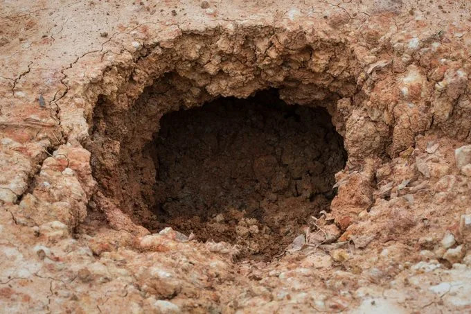 13 scenarija: Šta bi se dogodilo da dinosauri još uvek žive