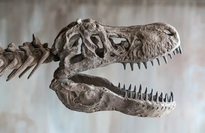 13 scenarija: Šta bi se dogodilo da dinosauri još uvek žive