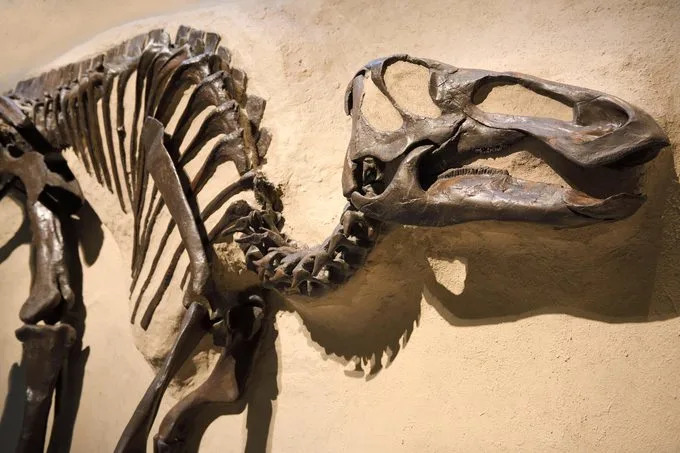 13 scenarija: Šta bi se dogodilo da dinosauri još uvek žive