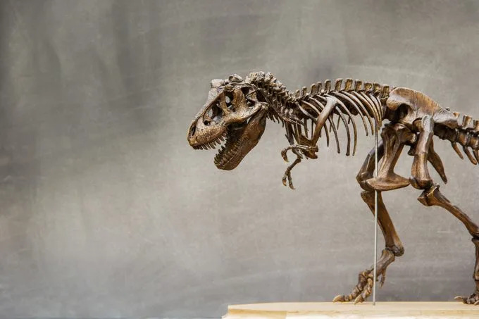 13 scenarija: Šta bi se dogodilo da dinosauri još uvek žive