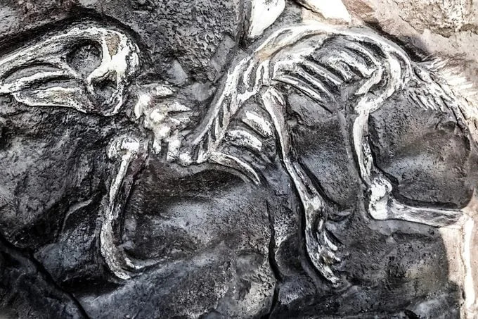 13 mitova o dinosaurima koje naučnici žele da razbiju