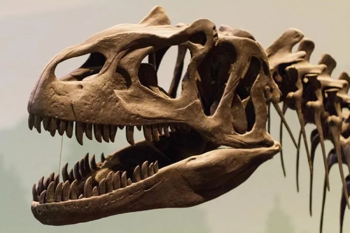 13 mitova o dinosaurima koje naučnici žele da razbiju