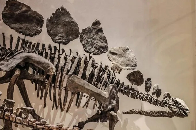 13 mitova o dinosaurima koje naučnici žele da razbiju