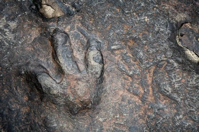 13 mitova o dinosaurima koje naučnici žele da razbiju