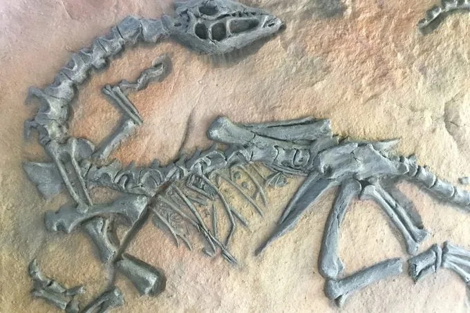 13 mitova o dinosaurima koje naučnici žele da razbiju