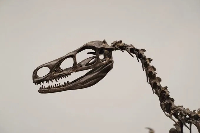 13 mitova o dinosaurima koje naučnici žele da razbiju