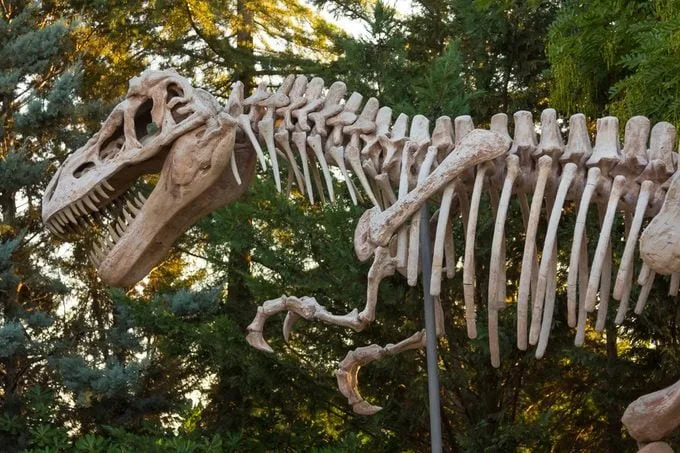 13 mitova o dinosaurima koje naučnici žele da razbiju