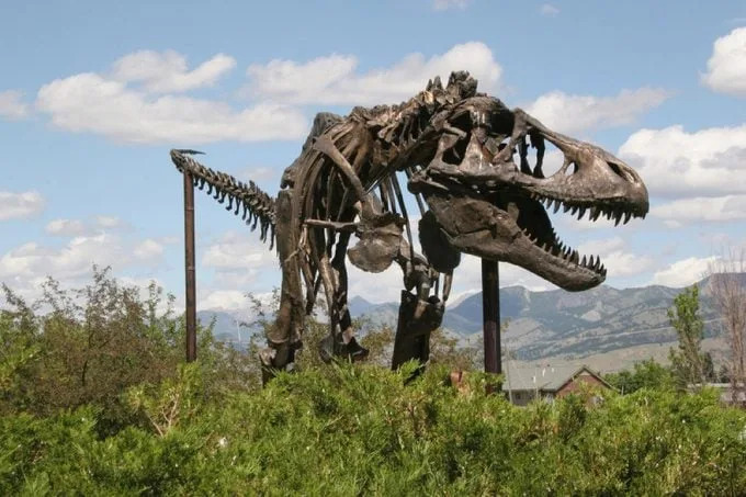13 mitova o dinosaurima koje naučnici žele da razbiju