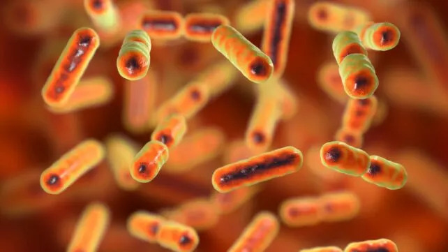 Skriveni virus u crevnim bakterijama povezan s karcinomom debelog creva — mogući put ka novom skriningu