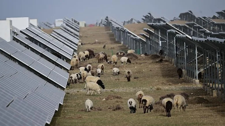 Solarne farme na Tibetu neočekivano obnavljaju pustinju — i pomažu meštanima