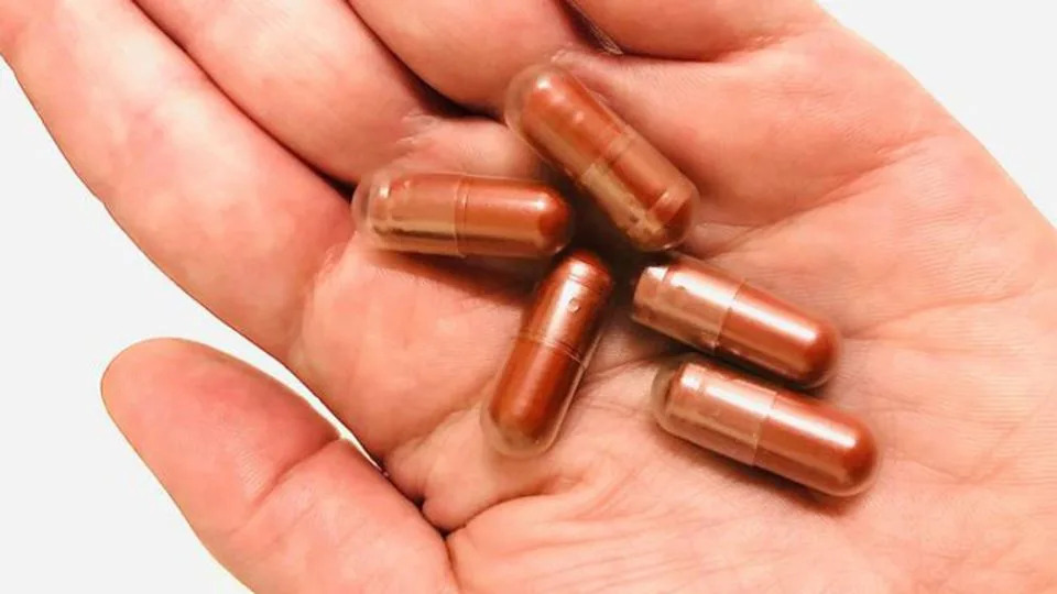 Zdravije crevo: nova fronta u lečenju raka — kako mikrobiom menja imunoterapiju i transplantacije