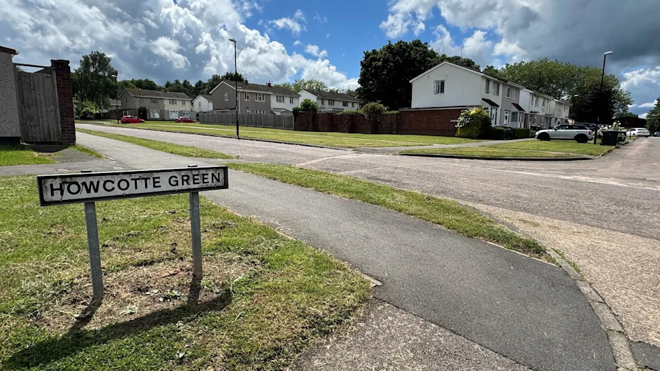 16 Cats Found Dead In Abandoned Coventry Pond — RSPCA And Police Investigate