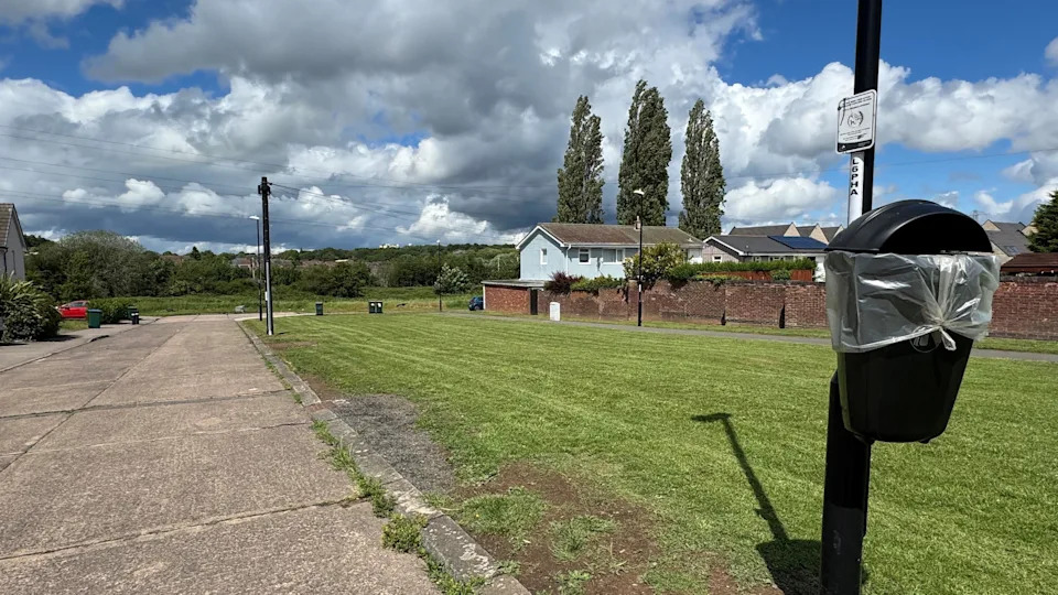 16 Cats Found Dead In Abandoned Coventry Pond — RSPCA And Police Investigate