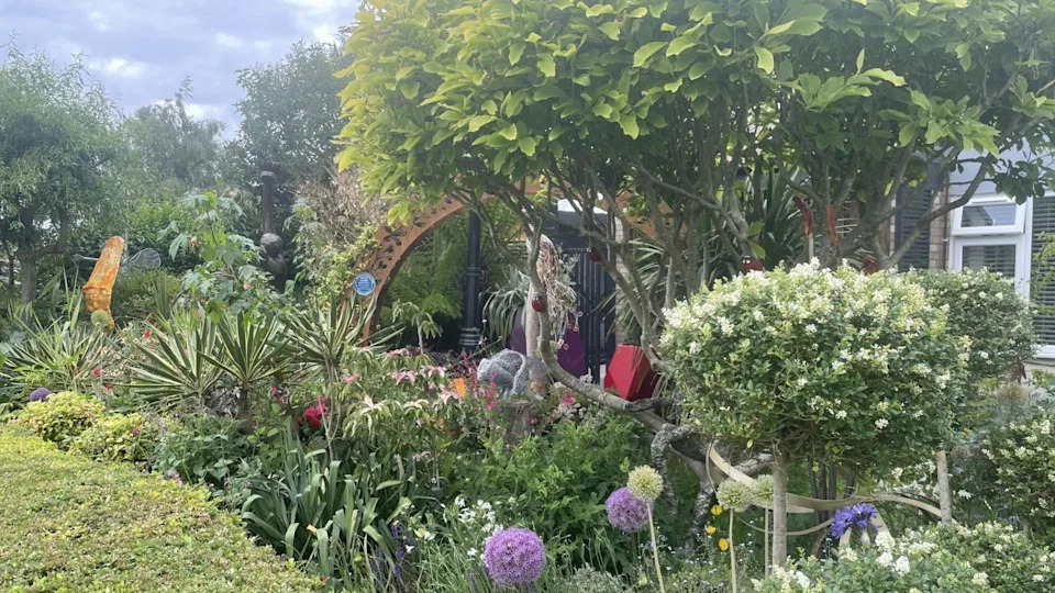 Garden Saved Him: Blood-Scandal Survivor Turns Trauma Into Award-Winning Front Garden
