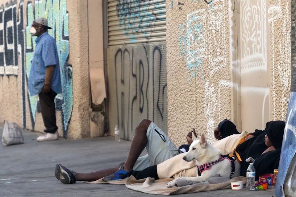 After the Election: Federal Probe Urged Into Widespread Animal Abuse on LA’s Skid Row