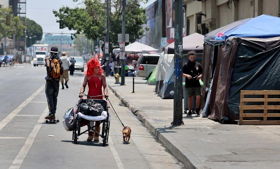 After the Election: Federal Probe Urged Into Widespread Animal Abuse on LA’s Skid Row