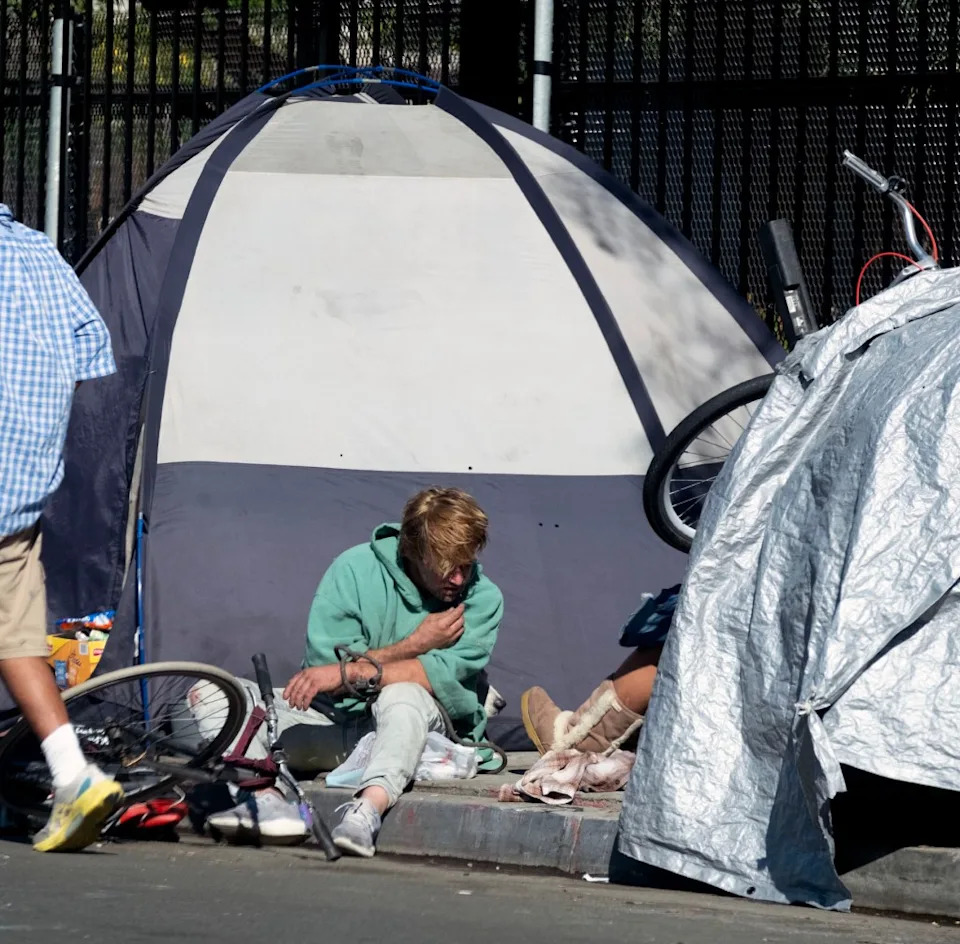 After the Election: Federal Probe Urged Into Widespread Animal Abuse on LA’s Skid Row