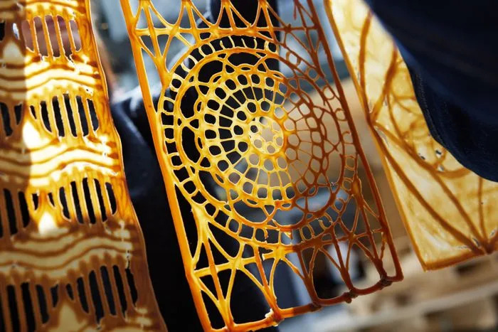 Biomaterijal Od Kvasca Štampan U 3D: Budućnost Tapeta, Zavesa I Decorative Ploča
