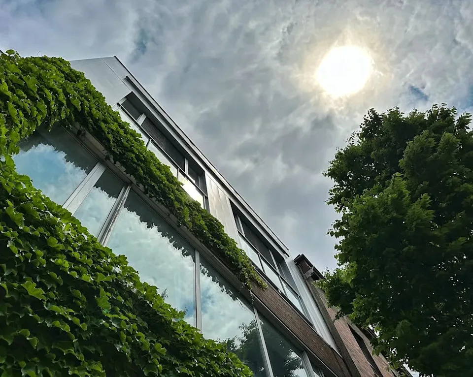 Turning Down the Heat: How U.S. Cities Use Trees, Parks and Green Roofs to Fight Urban Heat Islands
