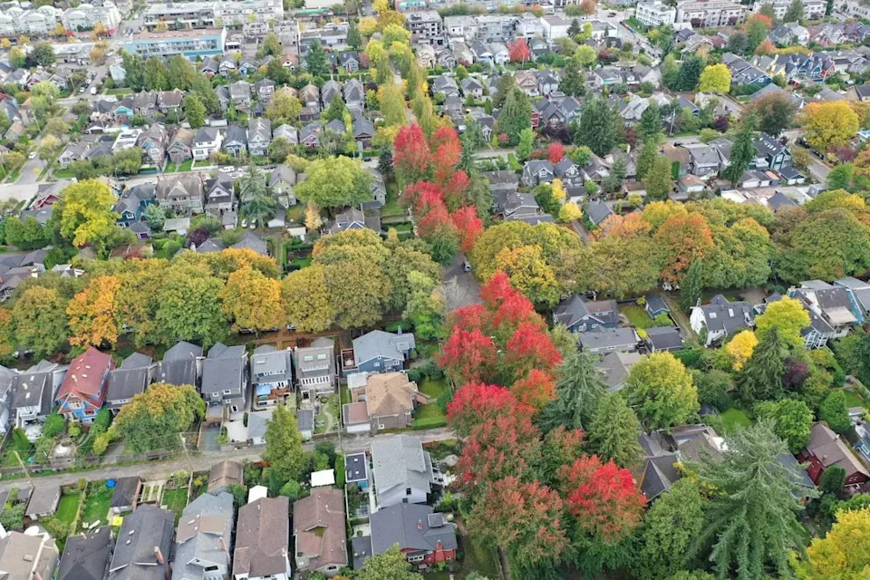 Turning Down the Heat: How U.S. Cities Use Trees, Parks and Green Roofs to Fight Urban Heat Islands