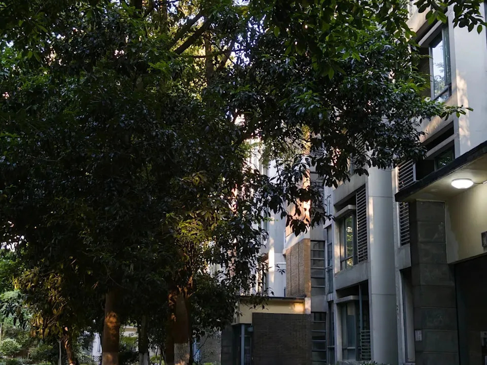 Turning Down the Heat: How U.S. Cities Use Trees, Parks and Green Roofs to Fight Urban Heat Islands