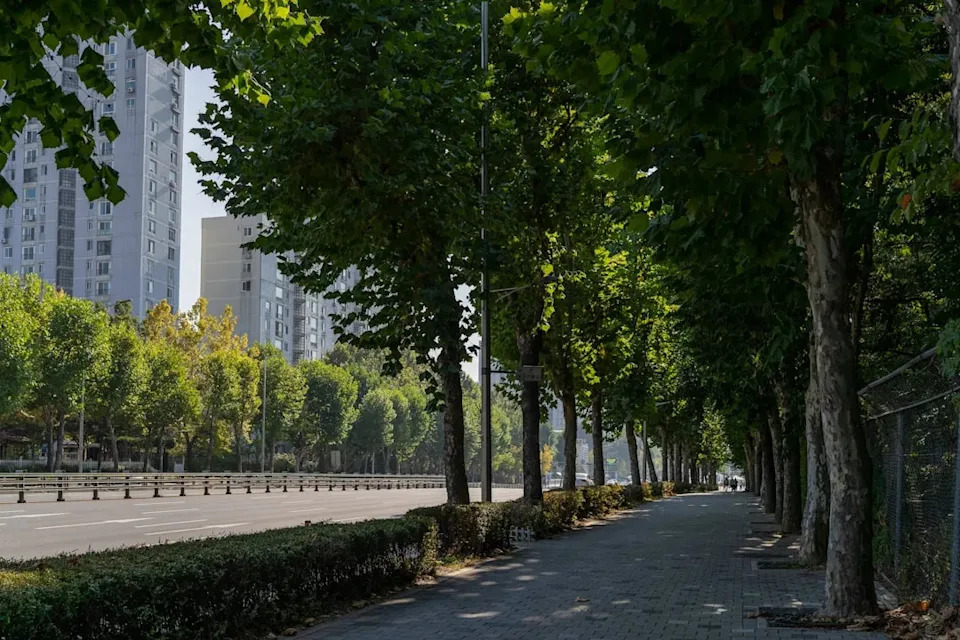 Turning Down the Heat: How U.S. Cities Use Trees, Parks and Green Roofs to Fight Urban Heat Islands