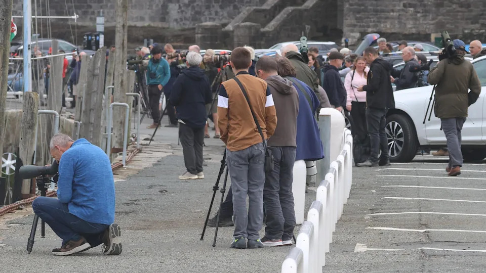 Prva zabeležena zapadna grebena čaplja u Britaniji: Stotine twitchera stiglo u Caernarfon