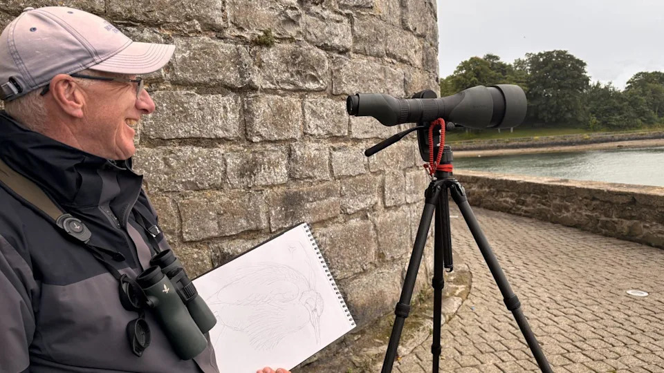 Prva zabeležena zapadna grebena čaplja u Britaniji: Stotine twitchera stiglo u Caernarfon