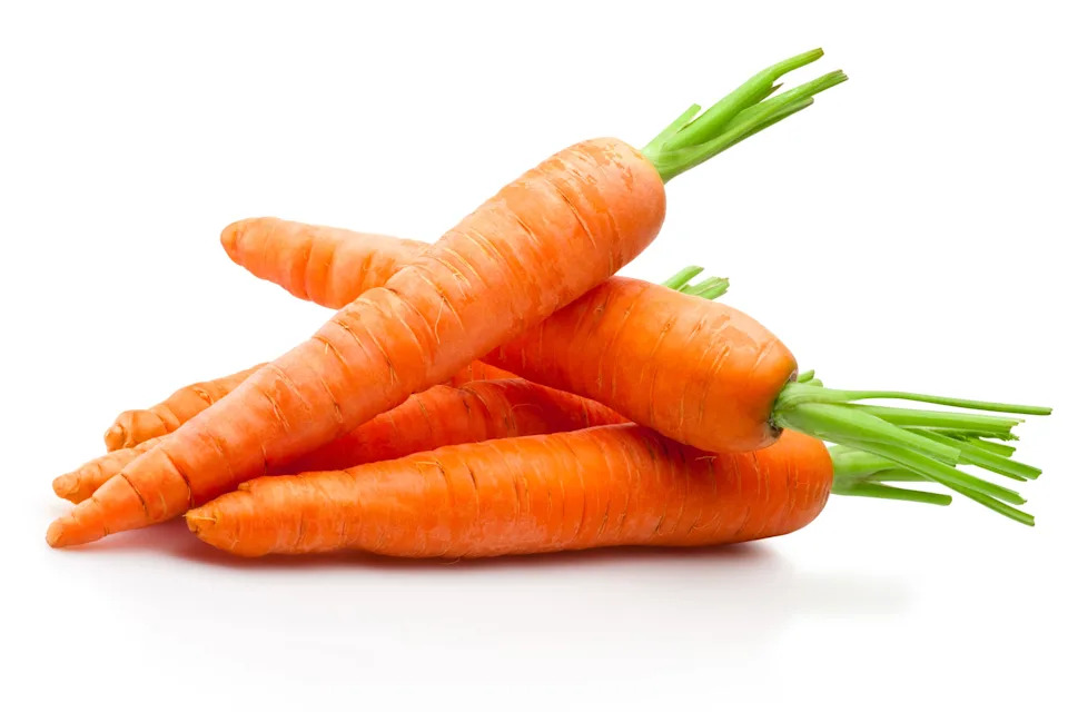 FDA Expands Recall of GO Raw Freeze-Dried and Frozen Pet Foods After Low Vitamin B1 Tests