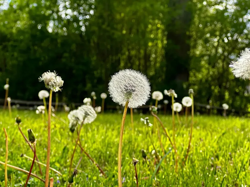 Nova Realnost Za Američke Poljoprivrednike: Klimatske Zone Pomeraju Sezone — Šta To Znači Za Useve i Vodu