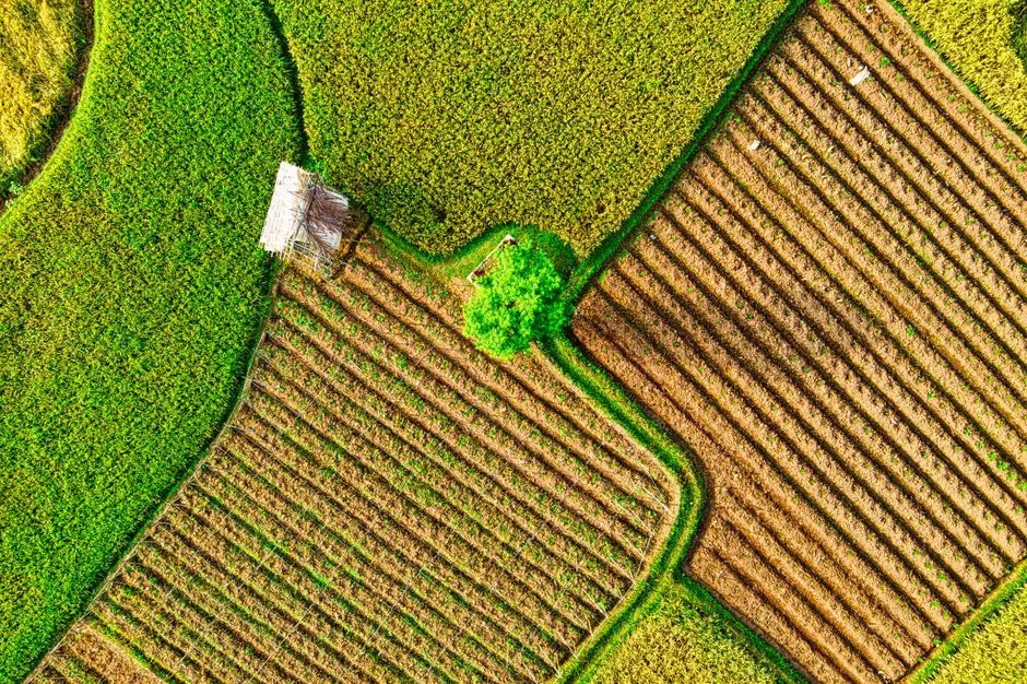 Nova Realnost Za Američke Poljoprivrednike: Klimatske Zone Pomeraju Sezone — Šta To Znači Za Useve i Vodu