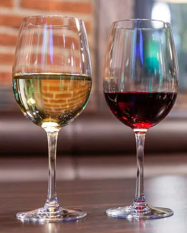Study Finds Even One Daily Drink Raises Cancer, Heart and Injury Risks — Sparks Debate Over U.S. Guidelines