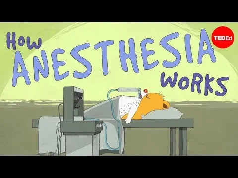 Mali deo mozga „sluša