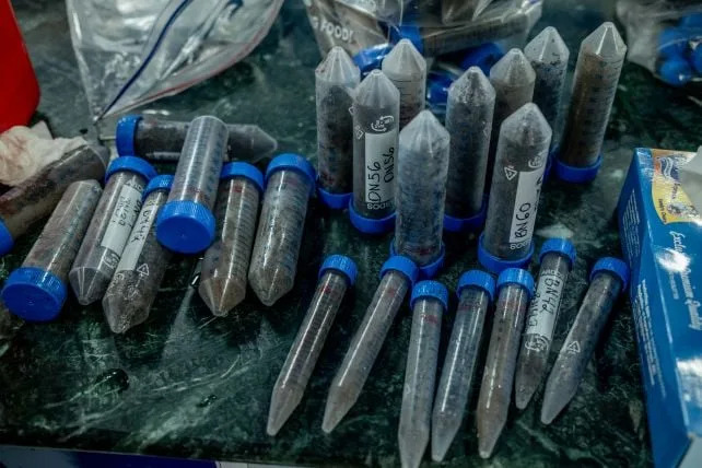 Skrivena mreža mikoriznih gljiva: hife dostižu 110 kvadriliona km — dovoljno za Zemlja–Sunce skoro milijardu puta