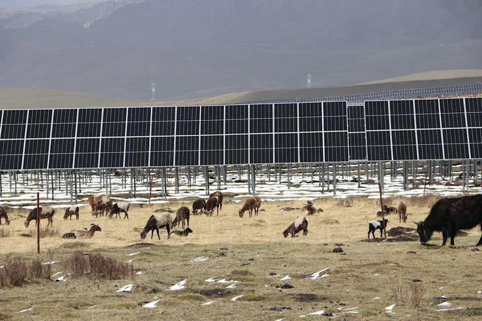 Kako solarne i vetroelektrane na Tibetskoj visoravni menjaju živote nomada